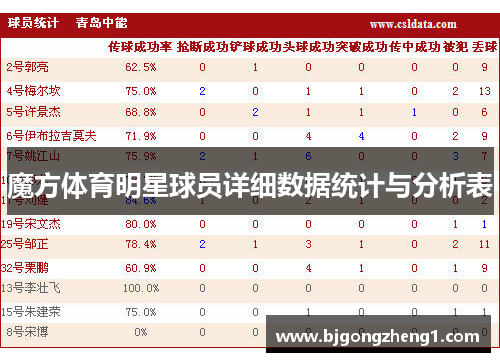 魔方体育明星球员详细数据统计与分析表